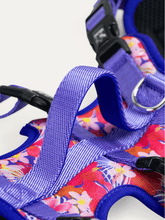 Full Coverage Dog Harness - Tropical Bloom Rush